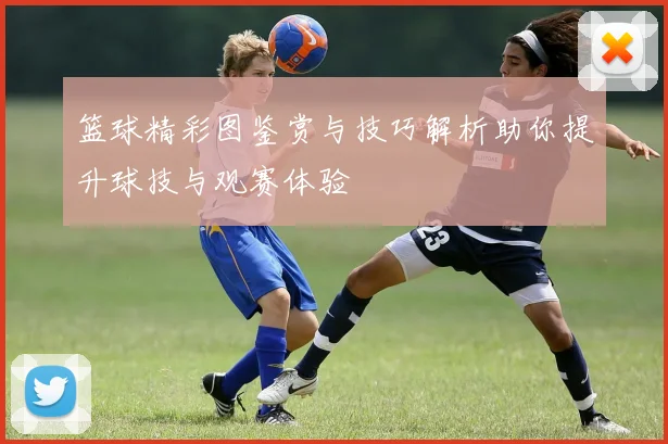 篮球精彩图鉴赏与技巧解析助你提升球技与观赛体验