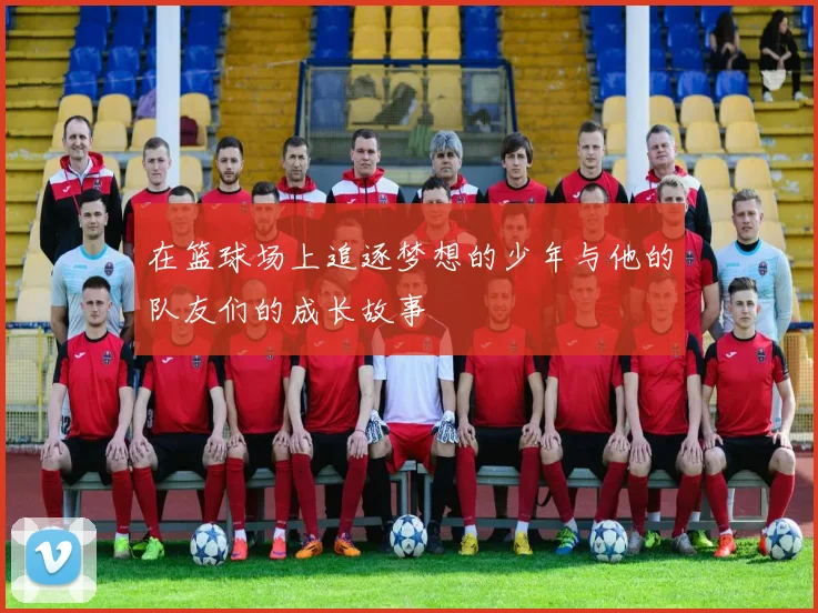 在篮球场上追逐梦想的少年与他的队友们的成长故事