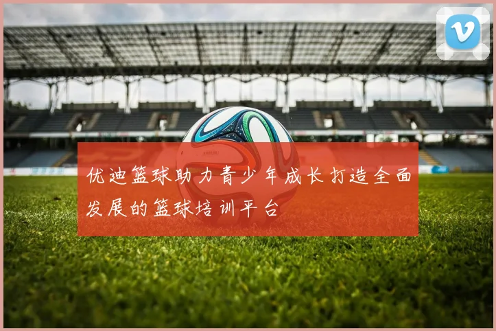 优迪篮球助力青少年成长打造全面发展的篮球培训平台