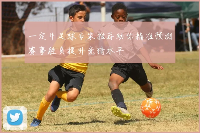 一定牛足球专家推荐助你精准预测赛事胜负提升竞猜水平